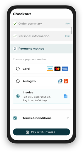 Payment methods mockup - invoice - black@x1